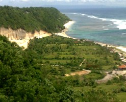 Bali Property Advisor - Land & Building 9